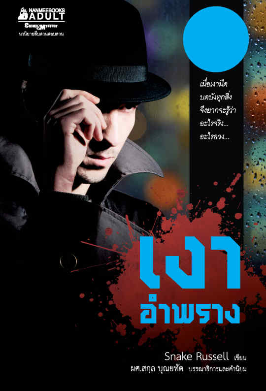 เงาอำพราง 